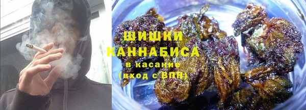 ГАЛЛЮЦИНОГЕННЫЕ ГРИБЫ Балахна