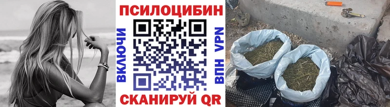 Галлюциногенные грибы прущие грибы  МЕГА как зайти  Рассказово 
